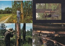 Lot 4 cartes postales