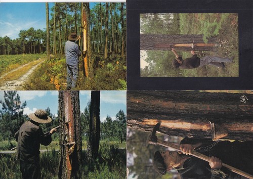 Lot cartes postales - 4,