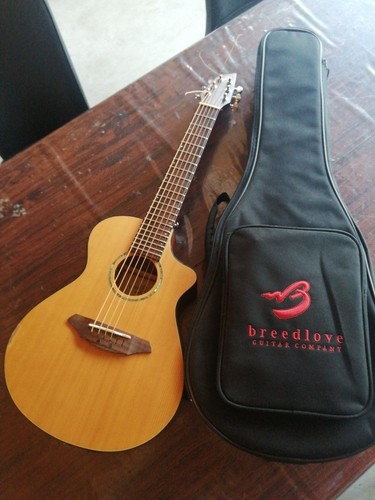 Breedlove mini guitar passport - breedlove,