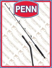 Canne PENN Carnage Bluefin