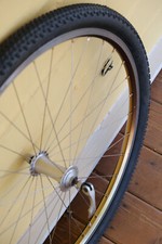 Mavic 217 Sunset Mountain Bike