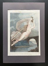 Belle Aquatinte XIXème - Iris