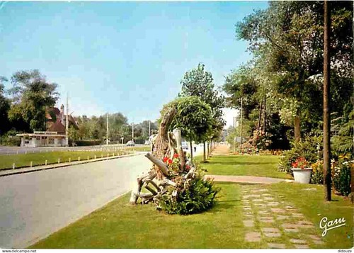 Carte postale stella - postale,