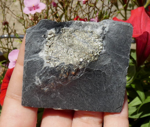 Pyrite dans ardoise - pyrite, saint