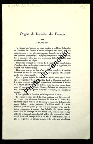 Entomologie - , (formicidae)