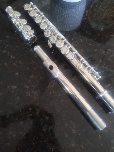 Yamaha 225sii overhauled - 225sii,