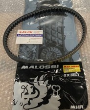 Courroie Transmission Malossi