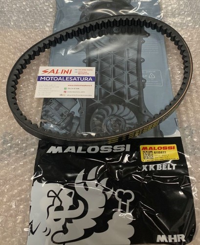 Courroie transmission malossi - transmission,