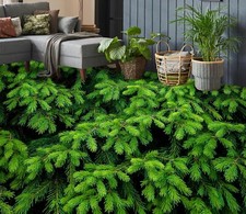 3D pin vert 1859NA papier