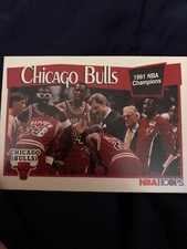 Chicago Bulls 1991