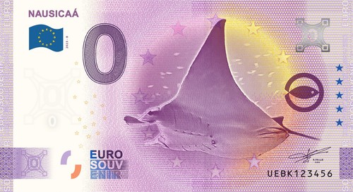 Billet souvenir 2023 - souvenir,