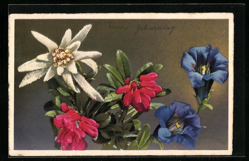 Carte postale artiste - postale, d'artiste