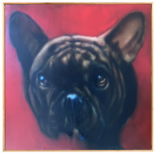 HST RARE PEINTURE PORTRAIT DE BOULEDOGUE FRANCAIS SIGNEE (1)