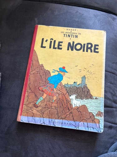 Tintin ile noire - tintin,