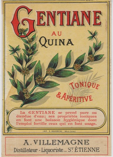 Gentiane quina a - quina,