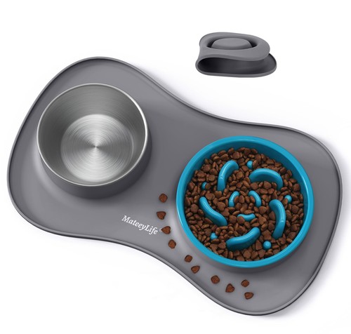 Set gamelle chien - set,