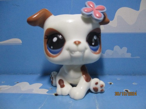 Petshop chien bouledogue - petshop,