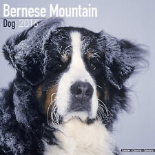 Calendrier 2016 - BOUVIER