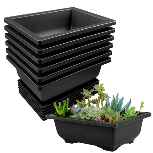 Pièces pot bonsai - 6,
