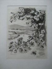 BERTHOLD-MAHN - Dessin original à l'encre sur papier Signé Beau Format Paysage