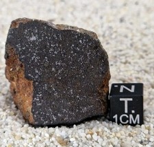 Meteorite NWA 17435 Chondrite H5