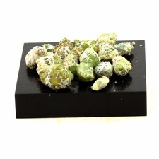 Lot de Grenat démantoïde. 78.5 ct. Malenco Valley, Lombardy, Italie.