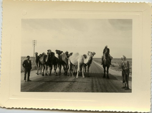 Photo ancienne vintage - photo,