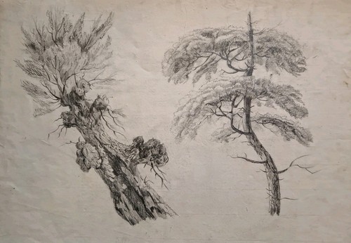 Ancien beau dessin xix eme - ancien,