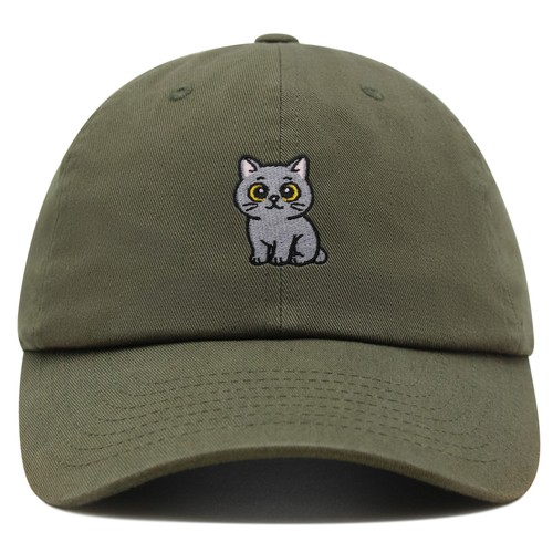 Jpak british shorthair cat - jpak,
