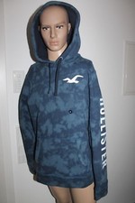 Hollister Homme Pull à