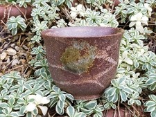 Tasse à thé Mino Ware Yunomi