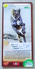CARTE MERVEILLES DU MONDE - N° 54 GUÉPARD - DÉFIS NATURE - BIOVIVA ! -