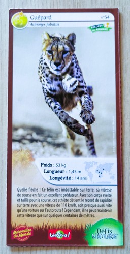 Carte merveilles monde - carte,