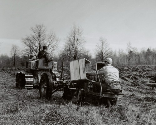 Oliver cletrac crawler tree - oliver-cletrac, &