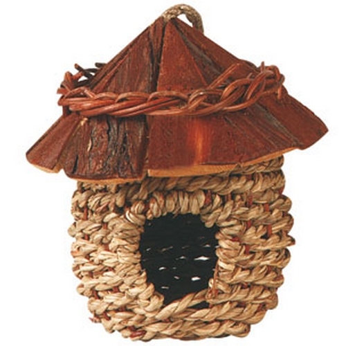 Nid oiseaux exotique - ,