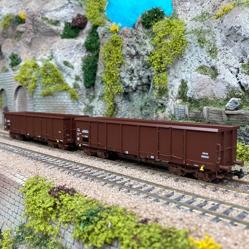 Wagons tombereaux eaos - tombereaux,