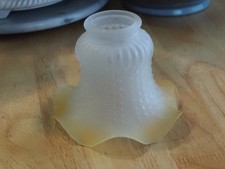 Tulipes anciennes en verre