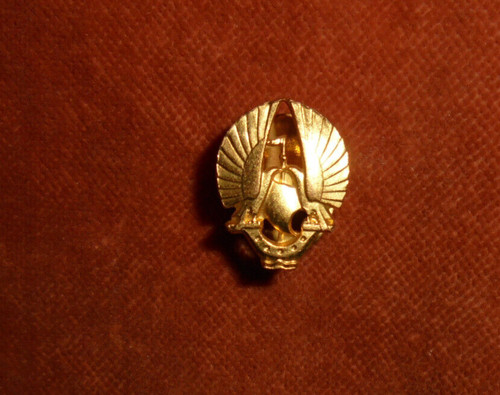 Jolie insigne badge chobillon - insigne,