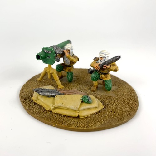 Tallarn desert raiders with - raiders,