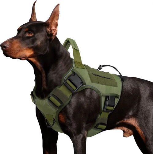 Gilet canin tactique - gilet,