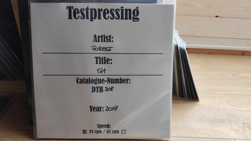 Forest vinyl test - forest,