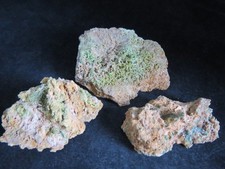 Pyromorphite , lot de 3 spécimens / Steinbach / Haut -Rhin / France