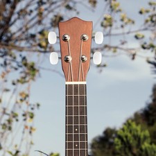  Kit D'accordage Pour Banjo