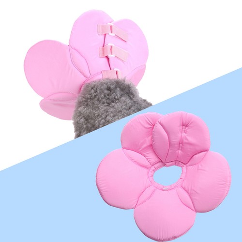 Collerette chien souple - collerette,