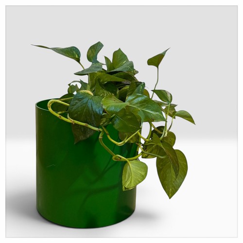 Porte vase vintage kartell - porte-vase,