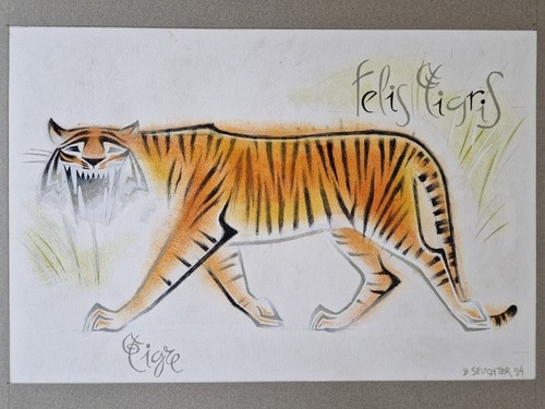 Bruno seuchter dessin la - dessin,