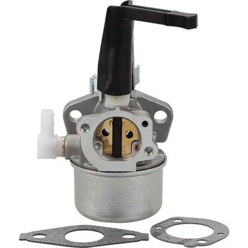 Carburateur pour moteur briggs - carburateur,