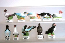 Serie de feves 2003 - LES