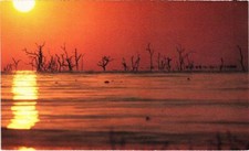 CPM AK The stark beauty of a