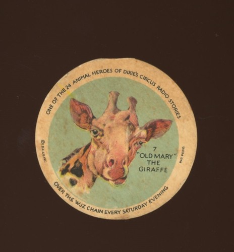1930 dixie lids animal - f1,
